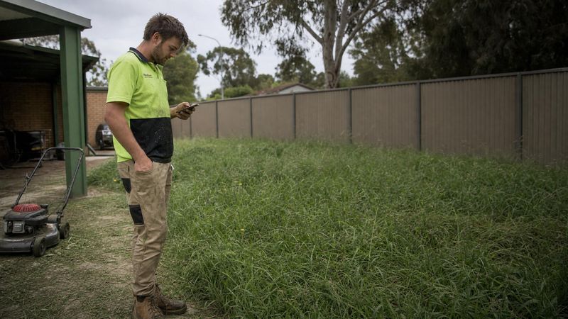 Small operator sizing up a job in a backyard to work out a price