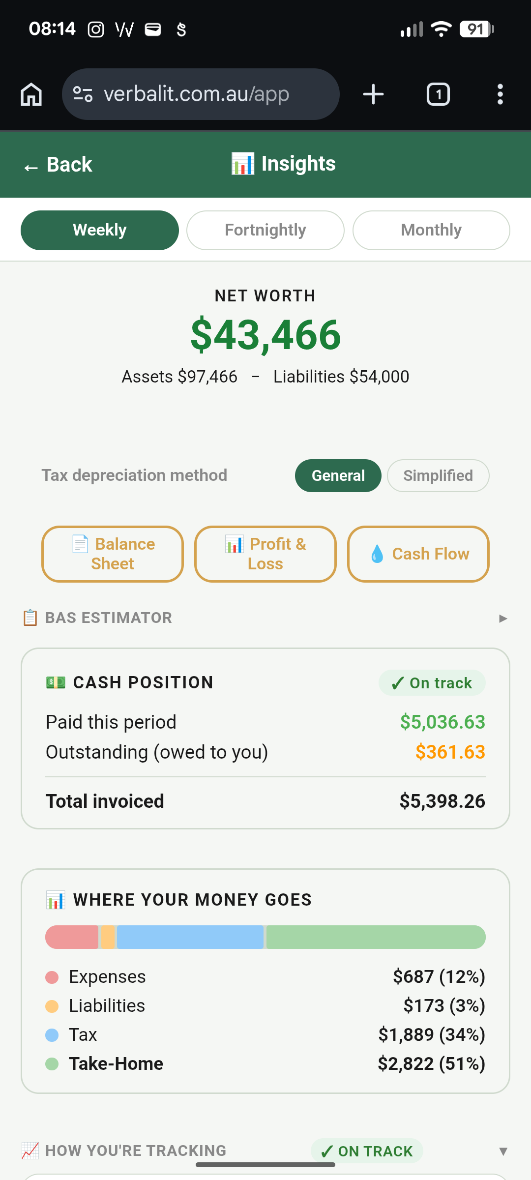 VerbalIt Insights dashboard with financial statements and business overview